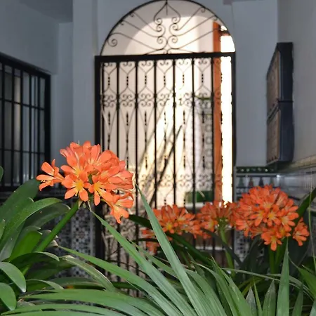 Nuevo Sueno Del Alcazar * Córdova