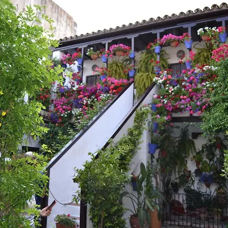 Nuevo Sueno Del Alcazar Apartamento